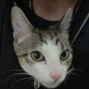 Meet your Posher, Amiyah